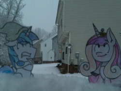 Size: 800x600 | Tagged: safe, artist:ask-shining-and-cadence, princess cadance, shining armor, alicorn, pony, unicorn, g4, ask-shining-and-cadence, clothes, hat, looking up, scarf, snow, winter, winter hat