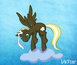 Size: 1011x851 | Tagged: safe, artist:viistar, oc, oc only, pegasus, pony, cloud, flying, solo, whitecloud