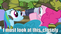 Size: 500x283 | Tagged: safe, pinkie pie, rainbow dash, g4, image macro