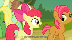 Size: 640x355 | Tagged: safe, edit, edited screencap, screencap, apple bloom, apple honey, babs seed, half baked apple, wensley, earth pony, pony, apple family reunion, g4, caption, female, filly, meme, we don't normally wear clothes, youtube caption