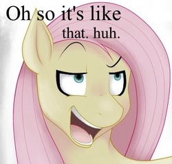 Size: 392x375 | Tagged: safe, artist:rosewhistle, edit, fluttershy, g4, dreamworks face, female, solo, text