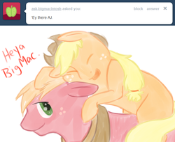 Size: 645x527 | Tagged: safe, applejack, big macintosh, earth pony, pony, ask ol applejack, g4, ask, male, stallion, tumblr