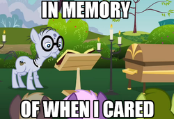 Size: 500x341 | Tagged: safe, edit, edited screencap, screencap, coco crusoe, mr. waddle, oakey doke, welch, earth pony, pony, g4, hearts and hooves day (episode), background pony, caption, casket, clerical collar, coffin, cropped, elderly, funeral, glasses, hearts and hooves day, image macro, liver spots, male, reaction image, stallion, the perfect stallion