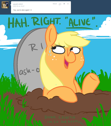 Size: 1000x1131 | Tagged: safe, applejack, ask ol applejack, g4, ask, female, grave, solo, tumblr