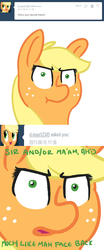 Size: 500x1206 | Tagged: safe, applejack, ask ol applejack, g4, ask, female, solo, tumblr