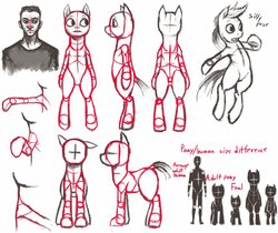 Size: 960x808 | Tagged: dead source, safe, artist:crookedtrees, human, pony, anatomy, bipedal, chart, how to draw, reference sheet, size chart, sketch dump, structure lines, tutorial