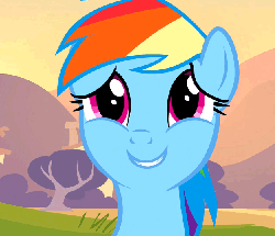Size: 626x540 | Tagged: safe, screencap, rainbow dash, pony, g4, hurricane fluttershy, season 2, animated, bust, cute, dashabetes, female, floppy ears, gif, looking at you, open mouth, portrait, smiling, solo, talking