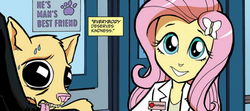 Size: 679x301 | Tagged: safe, idw, official comic, fluttershy, dog, equestria girls, g4, spoiler:comic