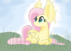 Size: 3196x2304 | Tagged: safe, artist:heir-of-rick, fluttershy, g4, ear fluff, female, impossibly large ears, solo