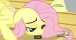 Size: 571x304 | Tagged: safe, screencap, fluttershy, g4, magical mystery cure, crown, female, hub logo, meme, solo, youtube caption