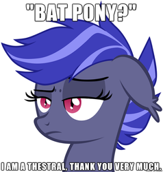 Size: 610x642 | Tagged: safe, artist:zee66, oc, oc only, oc:night watch, bat pony, pony, g4, adventure in the comments, floppy ears, frown, headcanon, image macro, raised eyebrow, solo, unamused