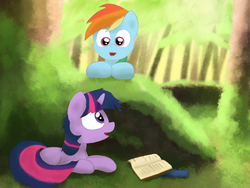 Size: 1032x774 | Tagged: safe, artist:fuzzyfox11, rainbow dash, twilight sparkle, pony, unicorn, g4, book, duo, forest, unicorn twilight