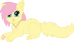 Size: 750x428 | Tagged: safe, artist:raffa2300, fluttershy, cat, g4, :3, catified, female, fluffy, paw pads, paws, simple background, solo, species swap, transparent background, underpaw, wingding eyes