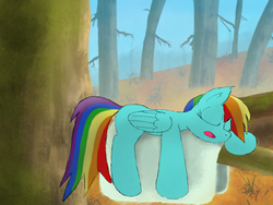 Size: 1032x774 | Tagged: safe, artist:fuzzyfox11, rainbow dash, g4, female, sleeping, solo