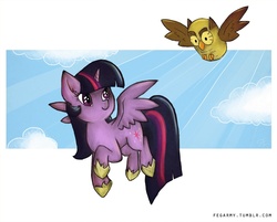 Size: 1000x805 | Tagged: safe, artist:erysz, owlowiscious, twilight sparkle, alicorn, pony, g4, cloud, cloudy, female, flying, mare, twilight sparkle (alicorn)