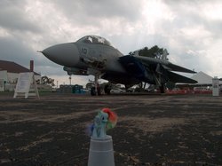 Size: 1024x766 | Tagged: safe, rainbow dash, g4, airfield, brushable, car, cup, f-14 tomcat, fighter, irl, jet, overcast, plane, toy