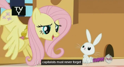 Size: 573x309 | Tagged: safe, screencap, angel bunny, fluttershy, g4, keep calm and flutter on, capitalist, element of kindness, hub logo, meme, necklace, tv rating, youtube caption