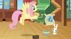 Size: 851x468 | Tagged: safe, screencap, angel bunny, fluttershy, g4, putting your hoof down, meme, youtube caption