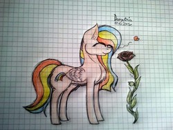 Size: 640x480 | Tagged: safe, artist:booniethecat, oc, oc only, pegasus, pony, flower, heart, solo