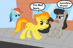 Size: 1106x723 | Tagged: safe, artist:grumblepluck, octavia melody, rainbow dash, spitfire, earth pony, pegasus, pony, g4, female, grin, mare, open mouth, raised eyebrow, raised hoof, raised leg, smiling, speech bubble, stalker, stalking, talking, that fucking cat, that fucking dash, trio, walking, window