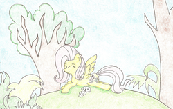 Size: 867x548 | Tagged: safe, artist:sketchdumpforthelulz, fluttershy, g4, female, solo, traditional art