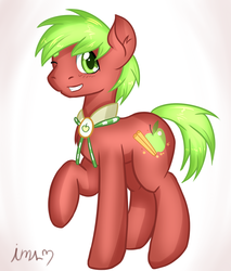 Size: 920x1080 | Tagged: safe, artist:imspainter, apple cinnamon, earth pony, pony, g4, apple, apple family member, bolo tie, collar, male, solo, stallion