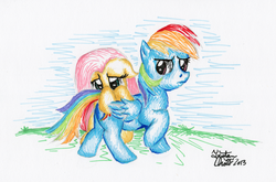 Size: 1280x845 | Tagged: safe, artist:kuroitsubasatenshi, fluttershy, rainbow dash, g4, traditional art