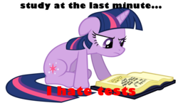 Size: 1600x973 | Tagged: safe, twilight sparkle, g4, caption, female, floppy ears, frown, reading, sitting, solo, study, studying, test, text