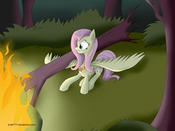 Size: 2560x1920 | Tagged: safe, artist:brab777, fluttershy, g4, breaking twilight, element of harmony, element of kindness, elements of harmony, everfree, everfree forest, fanfic, female, solo