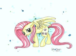 Size: 2075x1529 | Tagged: safe, artist:frostykat13, fluttershy, g4, female, solo, traditional art