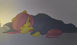 Size: 2086x1230 | Tagged: safe, artist:fribox, fluttershy, g4, blanket, female, sleeping, solo