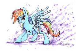 Size: 2099x1459 | Tagged: safe, artist:frostykat13, rainbow dash, g4, female, solo, traditional art