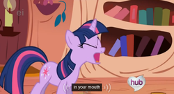 Size: 570x309 | Tagged: safe, screencap, twilight sparkle, g4, the ticket master, ei, female, hub logo, hubble, meme, mouth, solo, yelling, youtube caption