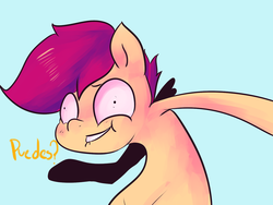 Size: 1280x960 | Tagged: safe, artist:spanish-scoot, scootaloo, tumblr:preguntascootaloo, g4, female, solo, spanish, translated in the comments