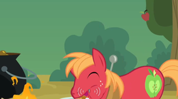 Size: 640x355 | Tagged: safe, screencap, big macintosh, earth pony, pony, apple family reunion, g4, my little pony: friendship is magic, 1, male, meme, solo, stallion, youtube caption