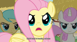 Size: 640x355 | Tagged: safe, screencap, fluttershy, sunshower raindrops, twinkleshine, g4, too many pinkie pies, cuba, meme, youtube caption