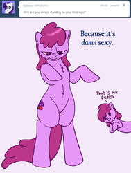 Size: 641x850 | Tagged: safe, artist:skoon, berry punch, berryshine, earth pony, pony, ask berry punch, g4, ask, bipedal, female, self paradox, self ponidox, solo, that is my fetish, tumblr