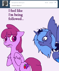 Size: 666x800 | Tagged: safe, artist:skoon, berry punch, berryshine, princess luna, alicorn, earth pony, pony, ask berry punch, g4, ask, bipedal, duo, duo female, female, s1 luna, tumblr, unshorn fetlocks