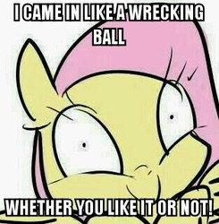 Size: 313x319 | Tagged: safe, fluttershy, g4, caption, female, image macro, solo, whether you like it or not