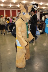 Size: 3156x4732 | Tagged: safe, doctor whooves, time turner, human, g4, cosplay, fursuit, irl, irl human, photo, ponysuit