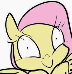 Size: 313x319 | Tagged: safe, fluttershy, g4, exploitable, faic, female, solo, whether you like it or not