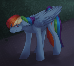 Size: 1300x1166 | Tagged: safe, artist:risu-nya, rainbow dash, pegasus, pony, g4, cutie mark, female, hedge, rain, solo, wings