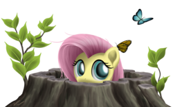 Size: 5600x3500 | Tagged: safe, artist:symbianl, fluttershy, butterfly, g4, female, hiding, simple background, solo, transparent background, tree, tree stump