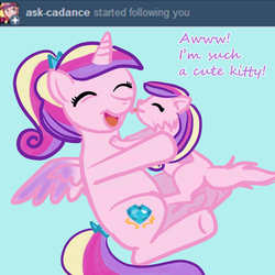 Size: 1000x1000 | Tagged: safe, artist:kuromi, princess cadance, cat, g4, ask, species swap, teen princess cadance, tumblr