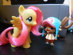 Size: 1032x774 | Tagged: safe, artist:rainbowdashfr, fluttershy, g4, brushable, crossover, irl, one piece, photo, tony tony chopper, toy