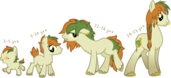 Size: 3397x1564 | Tagged: safe, artist:ivyhaze, oc, oc only, earth pony, pony, age progression, baby, braid, chest fluff, colt, cute, ear fluff, ear piercing, earring, floppy ears, foal, frown, irish, jewelry, leg fluff, lidded eyes, lip piercing, long mane, looking at you, looking back, male, nose ring, open mouth, piercing, running, shamrock, smiling, solo, stallion, teenager, unshorn fetlocks