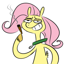 Size: 500x500 | Tagged: safe, artist:cartoonlion, fluttershy, oc, oc:futashy, g4, cigar, doodle, intersex, smirk, smoking, solo