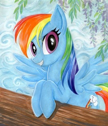 Size: 1000x1158 | Tagged: safe, artist:rainwaterfallszone, rainbow dash, g4, female, solo