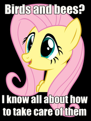 Size: 750x1000 | Tagged: safe, fluttershy, g4, female, image macro, innuendo, meme, painfully innocent fluttershy, solo