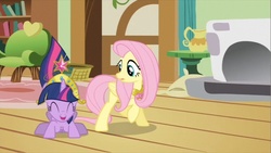 Size: 853x480 | Tagged: safe, screencap, fluttershy, twilight sparkle, g4, magical mystery cure
